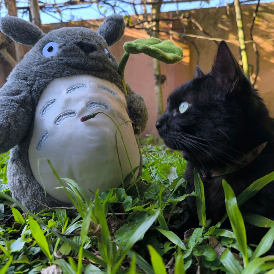 Chubby Kawaii Plush GatoGeek