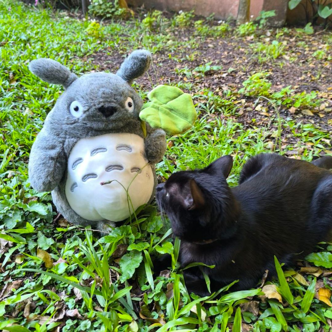 Chubby Kawaii Plush GatoGeek